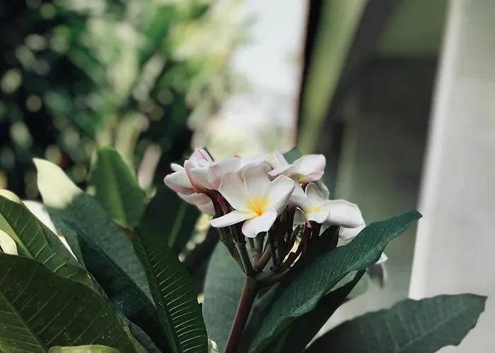 El Homestay Bali